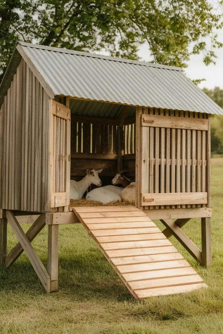 Livestock Shelters