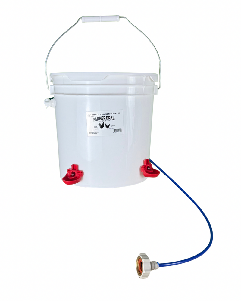 Automatic Chicken Waterer (2 Gallon)