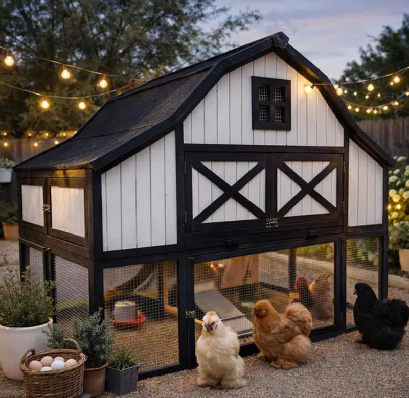 The Garden Coop — Decorative 4-Hen Coop