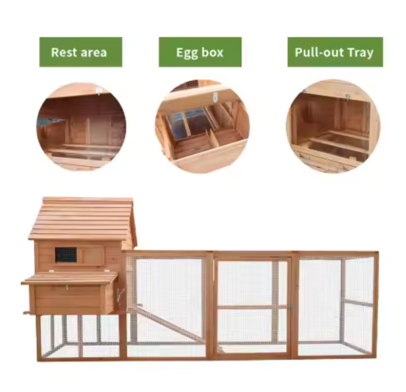 The Homestead Coop — 6-Hen Backyard Coop