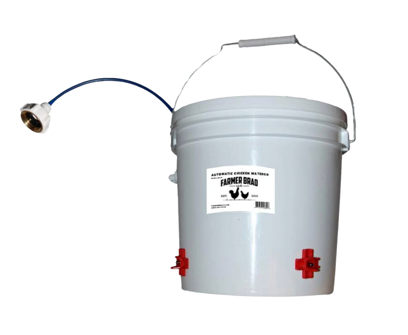 Automatic Chicken Waterer (2 Gallon)